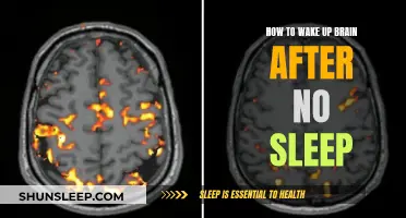 Revive Your Mind: Strategies to Jumpstart Your Brain After Sleepless Nights