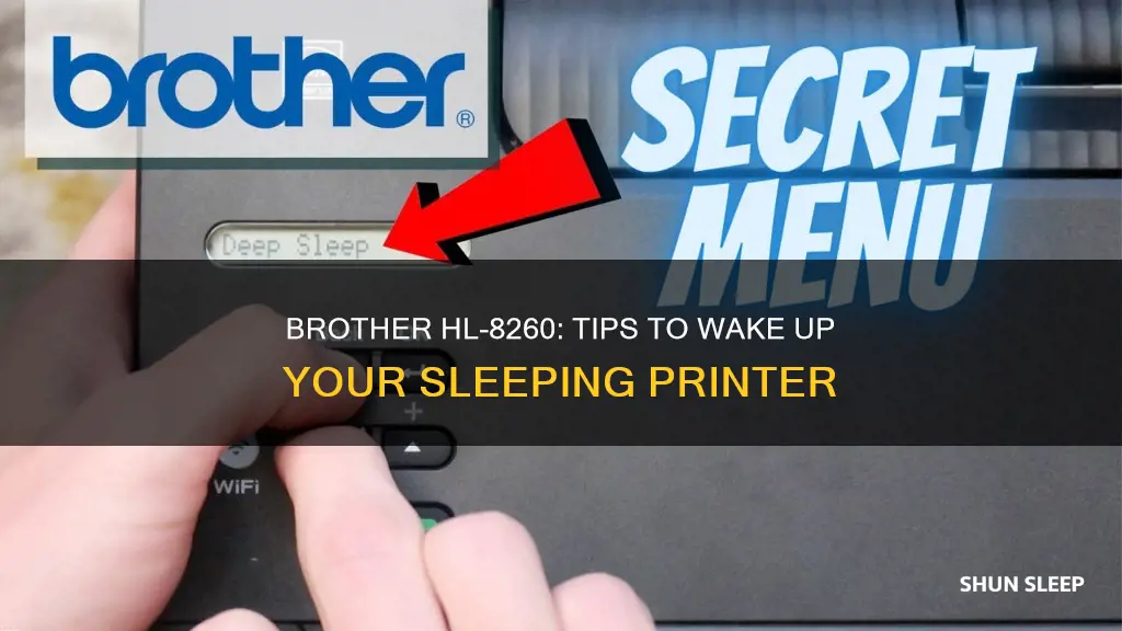 how to wake up brother hl 8260 from sleep