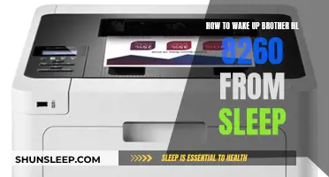 Waking Up the Brother HL-8260 Printer from Sleep Mode