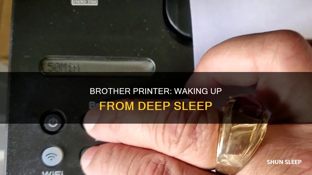 how to wake up brother printer from deep sleep