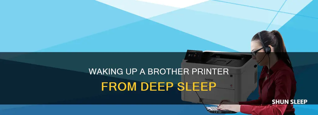 how to wake up brother printer from deep sleep