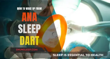 Waking Up from Anesthesia: A Quick Recovery Guide