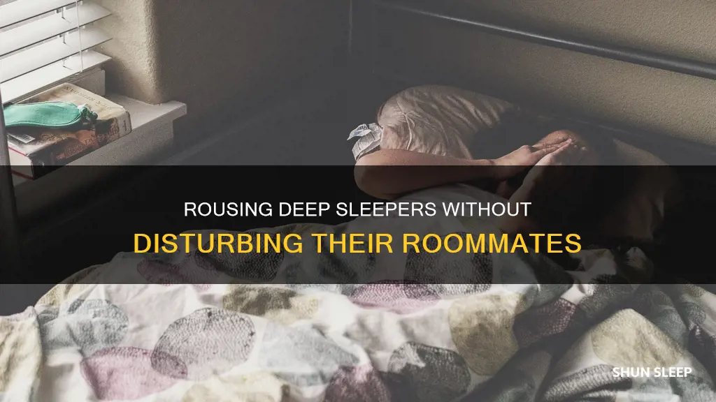 how to wake up heavy sleeper without waking others