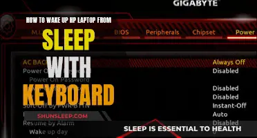 Awakening Your HP: Keyboard Tips to Unsleep Your Laptop