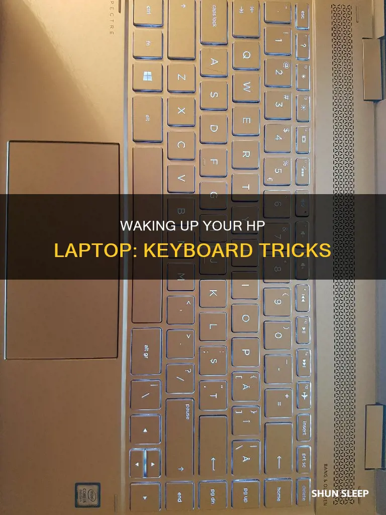 how to wake up hp laptop from sleep with keyboard