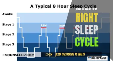 Mastering the Art of Waking Up in the Right Sleep Cycle