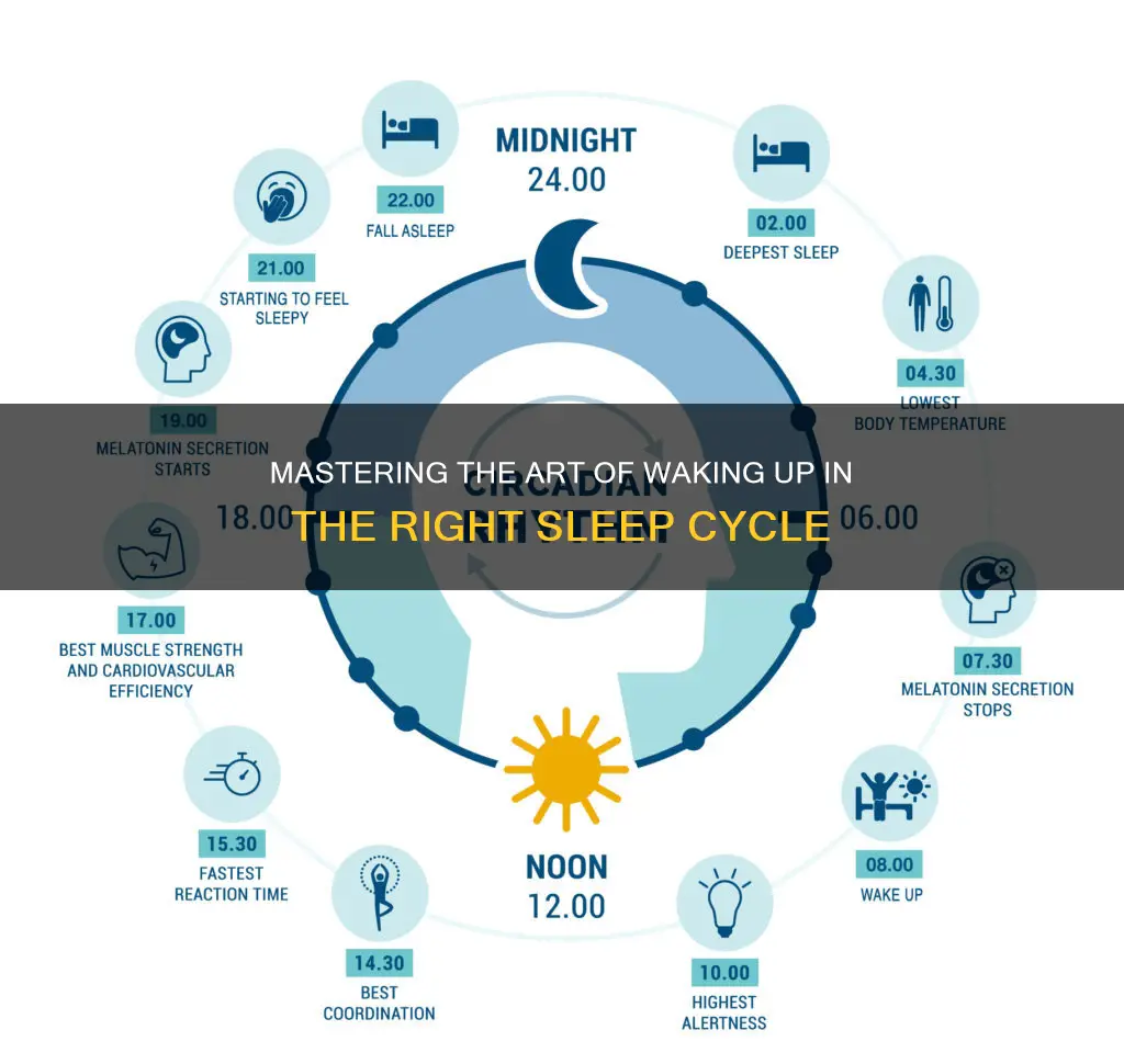 how to wake up in right sleep cycle