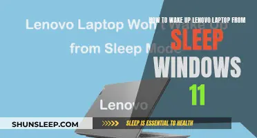 Lenovo Laptop: Wake Up from Sleep on Windows 11