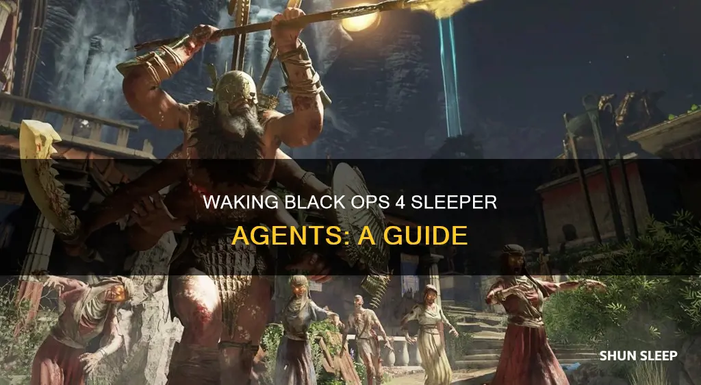 how to wake up sleeper agent on black ops 4