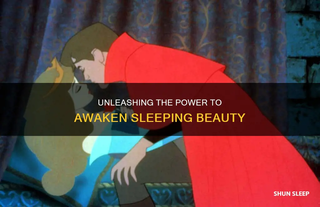 how to wake up sleeping beauty