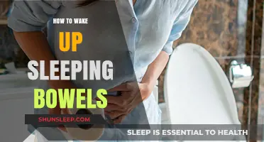 Revive Your Digestion: Tips to Awaken Your Sleeping Bowels