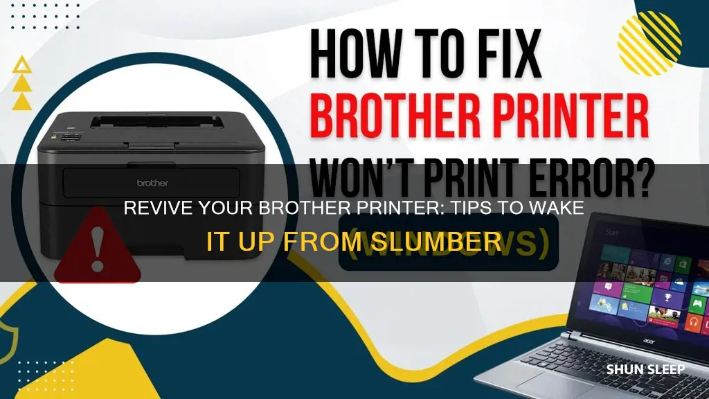 how to wake up sleeping brother printer