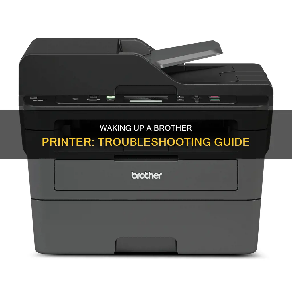 how to wake up sleeping brother printer