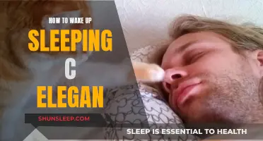 Awaken Your Sleeping C: A Guide to Elegance