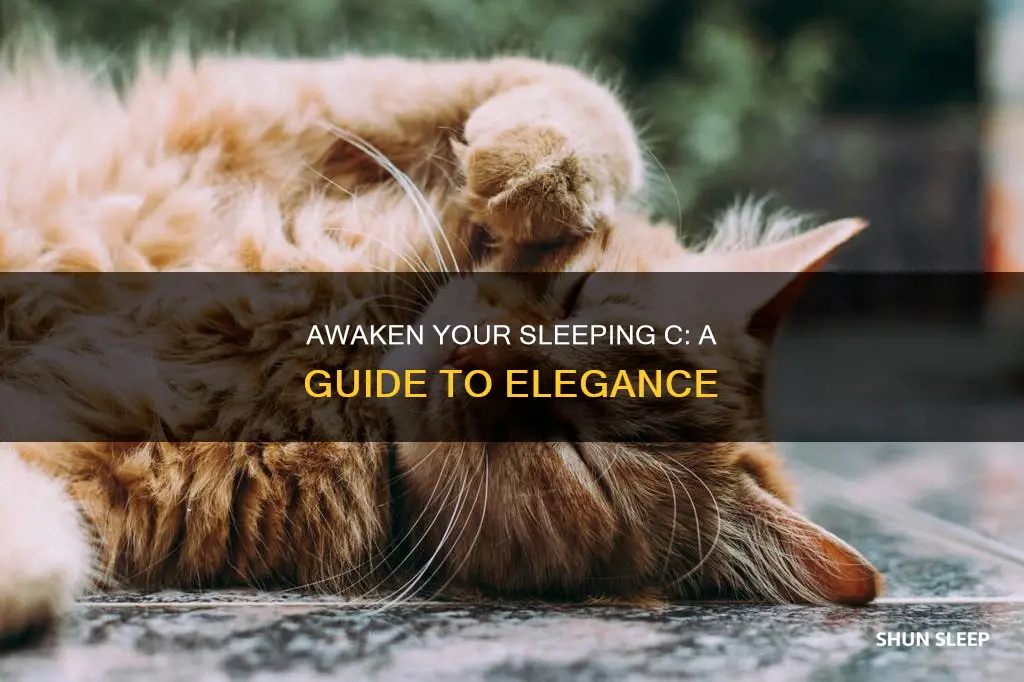 how to wake up sleeping c elegan