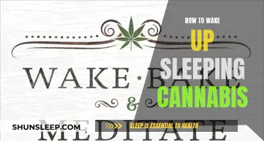 Revive Your Cannabis: Strategies to Wake Up Sleeping Buds