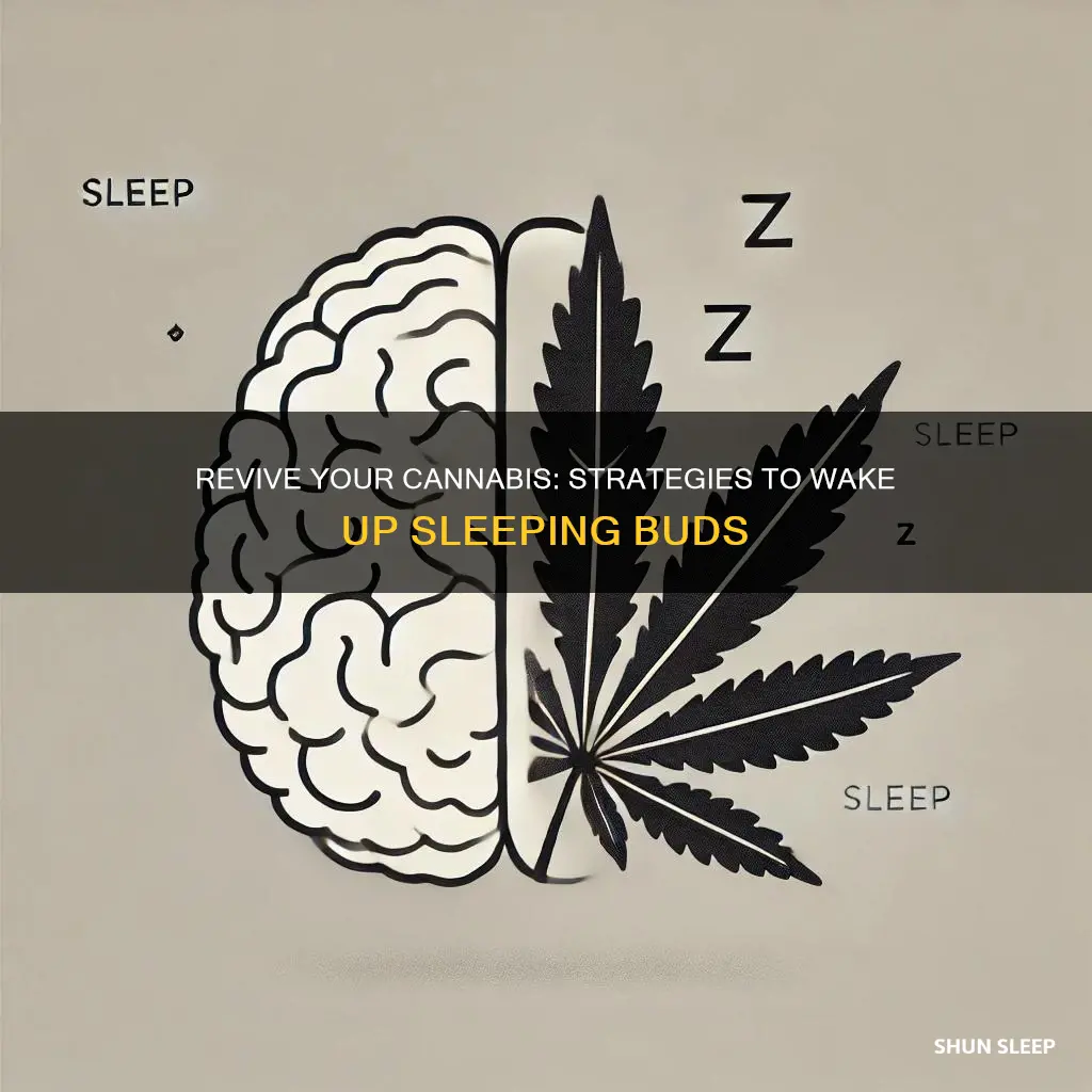 how to wake up sleeping cannabis