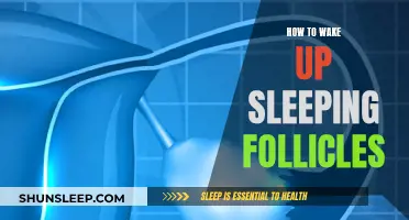 Ways to Stimulate Dormant Hair Follicles Back to Life