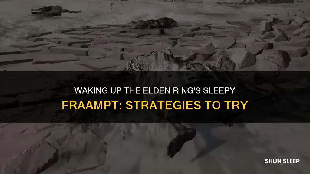 how to wake up sleeping fraampt