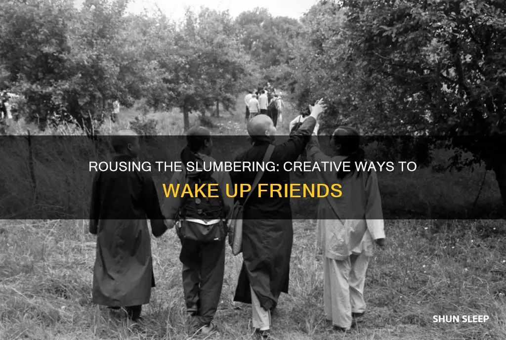 how to wake up sleeping friends