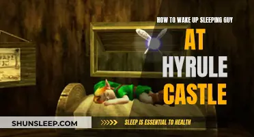 Awakening Link: Strategies to Wake Up the Slumbering Hero at Hyrule Castle