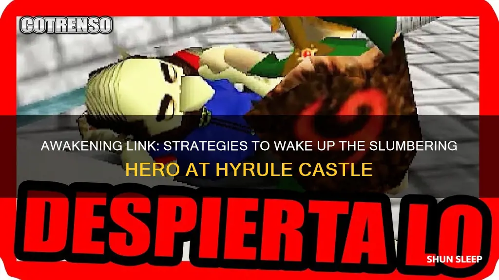 how to wake up sleeping guy at hyrule castle