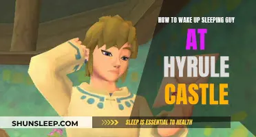 Waking the Sleeper in Hyrule Castle