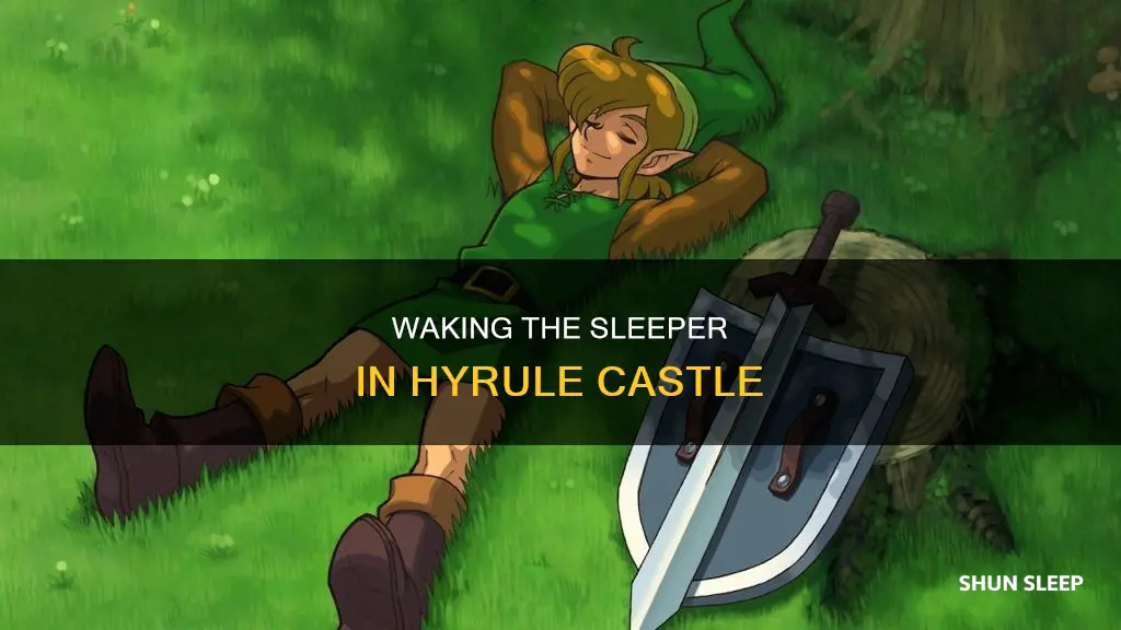 how to wake up sleeping guy at hyrule castle