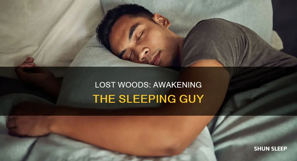 how to wake up sleeping guy in lost woods