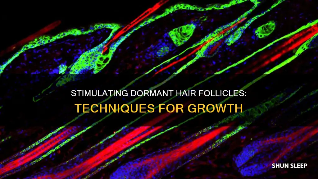 how to wake up sleeping hair follicles
