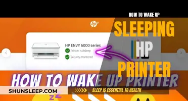 Troubleshooting: Revive Your HP Printer's Slumber with These Tips