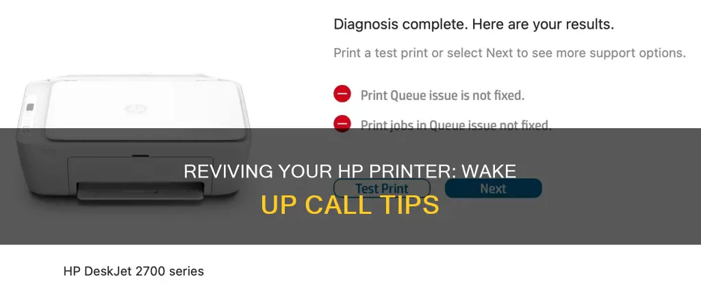 how to wake up sleeping hp printer