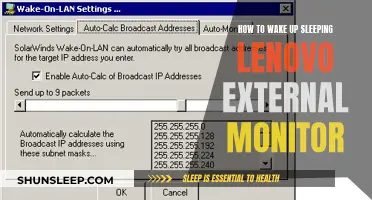 Troubleshooting Lenovo's External Monitor: Wake-up Call Tips