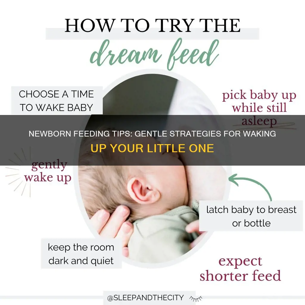 how to wake up sleeping newborn for feeding