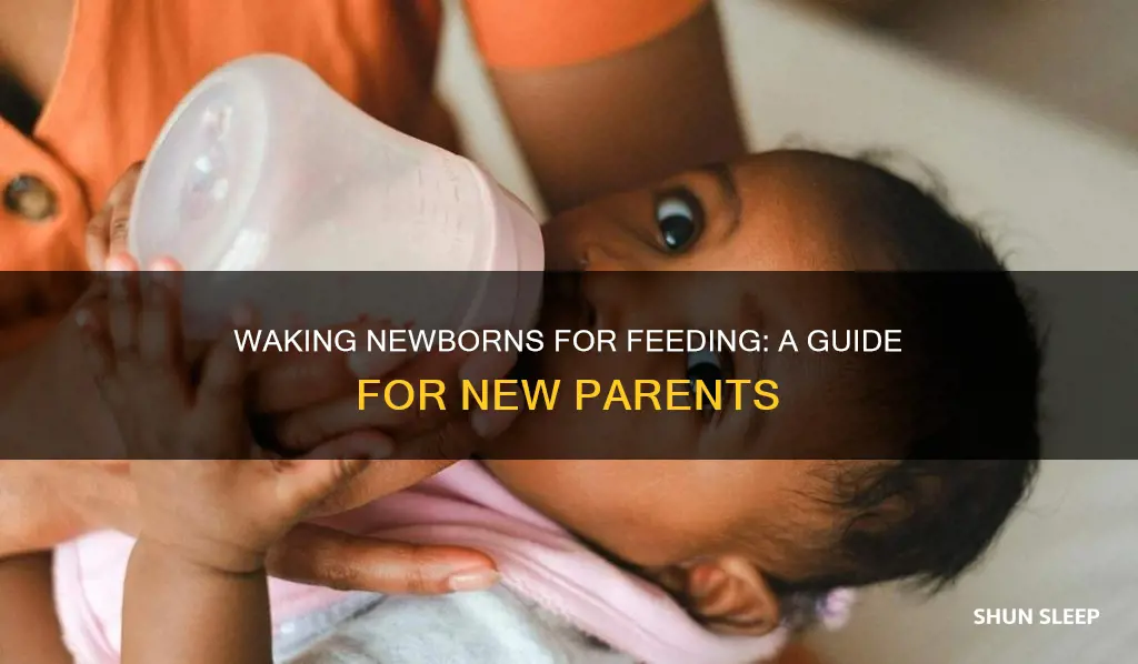 how to wake up sleeping newborn for feeding