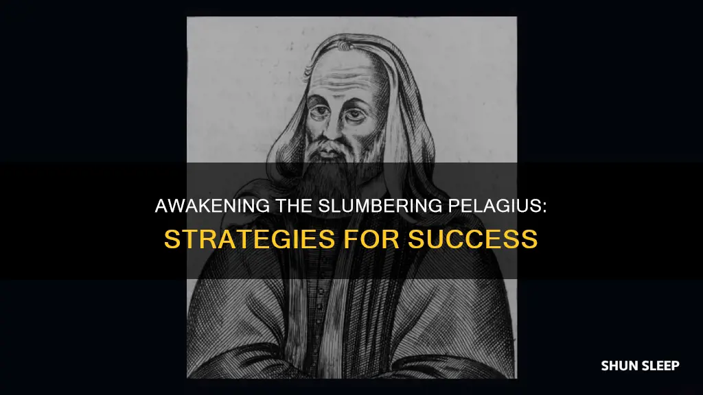 how to wake up sleeping pelagius