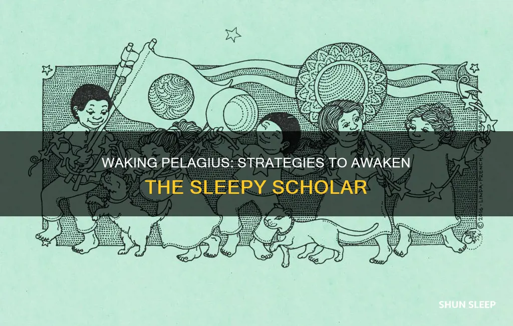 how to wake up sleeping pelagius