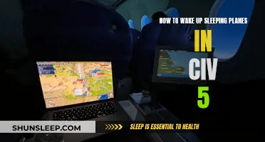 Awakening Civilization's Slumber: Strategies to Revive Sleeping Planes in CIV V