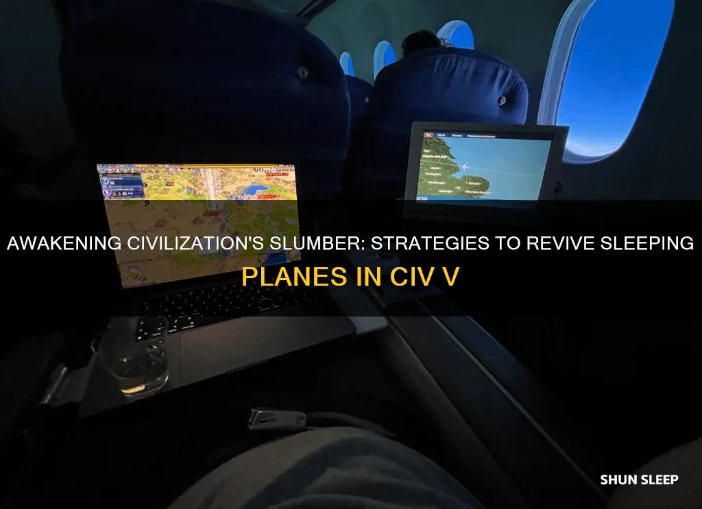 how to wake up sleeping planes in civ 5