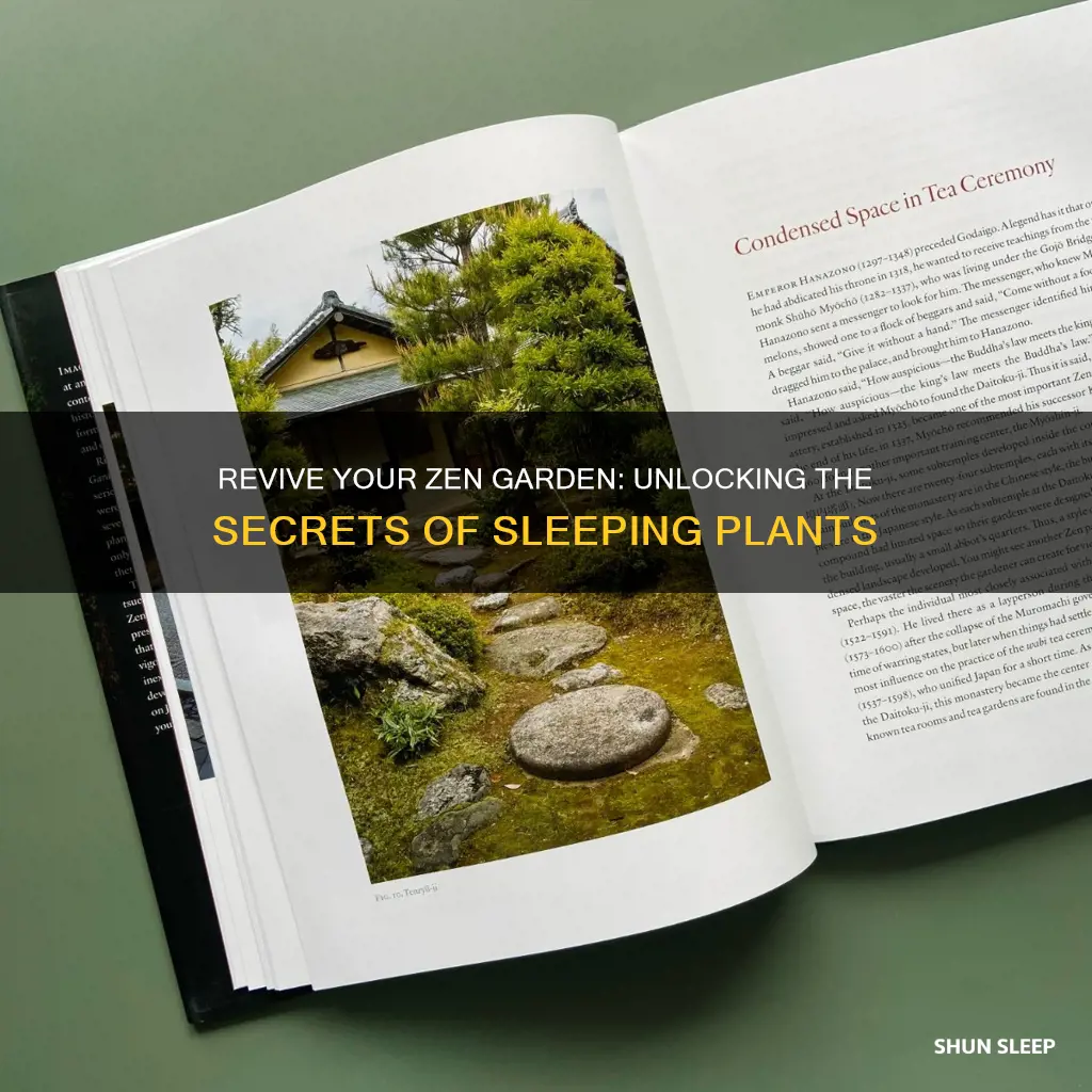 how to wake up sleeping plants in zen garden