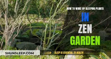 Waking Zen Garden Plants: Reviving Their Natural Beauty