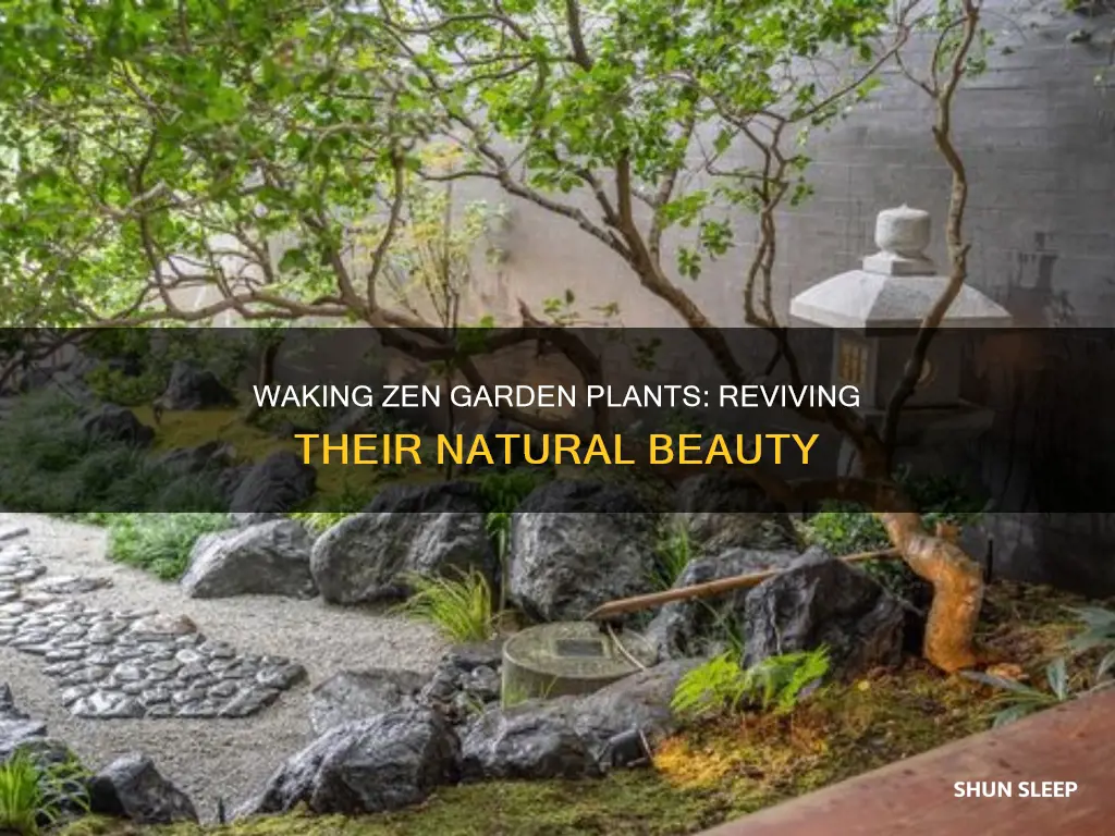 how to wake up sleeping plants in zen garden