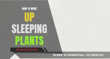 Revive Your Dormant Plants: A Guide to Waking Up Sleeping Plants