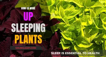 Reviving Dormant Plants: Secrets to Waking Up Sleeping Beauties