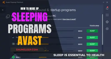 Reactivate Your Avast: Tips to Revive Sleeping Programs