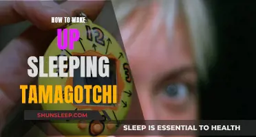 Reviving Your Tamagotchi: Wake Up, Sleepy Pet!