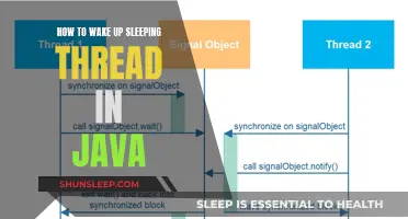 Java Thread: Unlocking the Power of Sleeping Threads