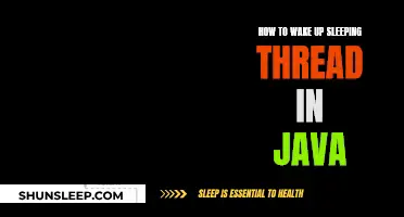 Reviving Java Threads: A Guide to Wake-Up Calls