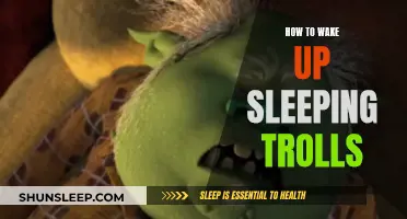 Waking Up Trolls: Strategies to Provoke a Response