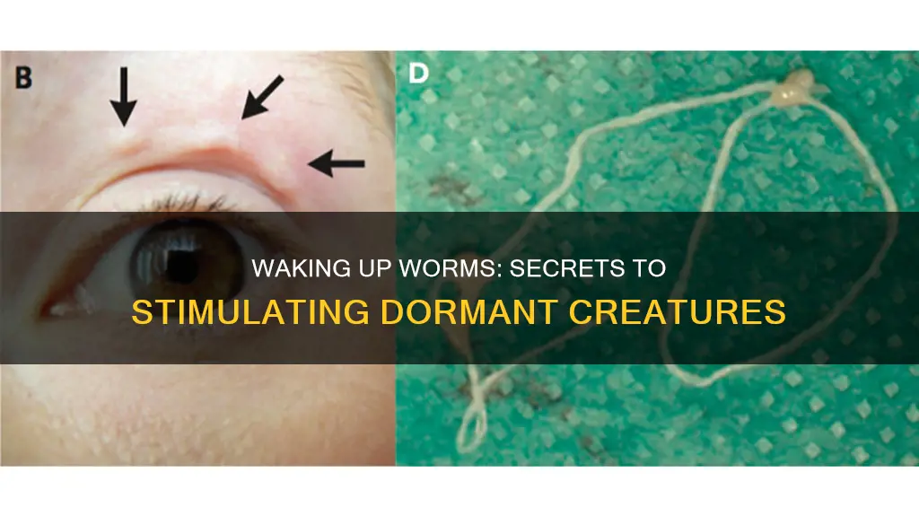 how to wake up sleeping worms